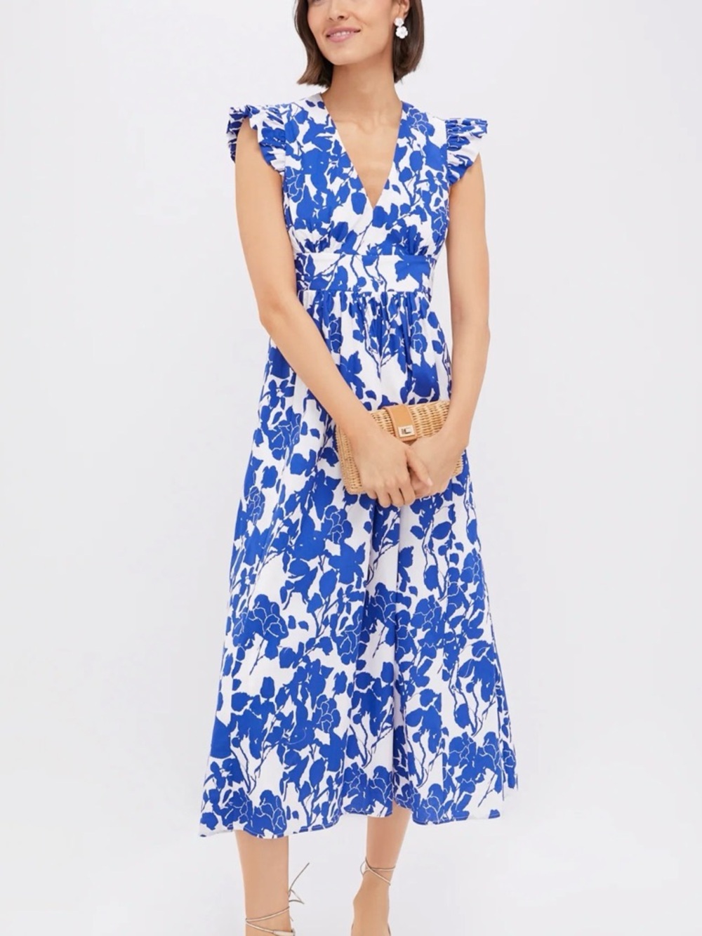 Tuckernuck Hyacinth House Ruffle Sleeve Robinson Dress Blue & White Floral NWT M